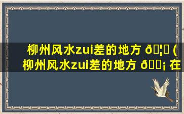 柳州风水zui
差的地方 🦟 (柳州风水zui
差的地方 🐡 在哪里)